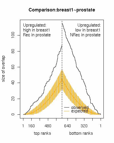 OrderedList example